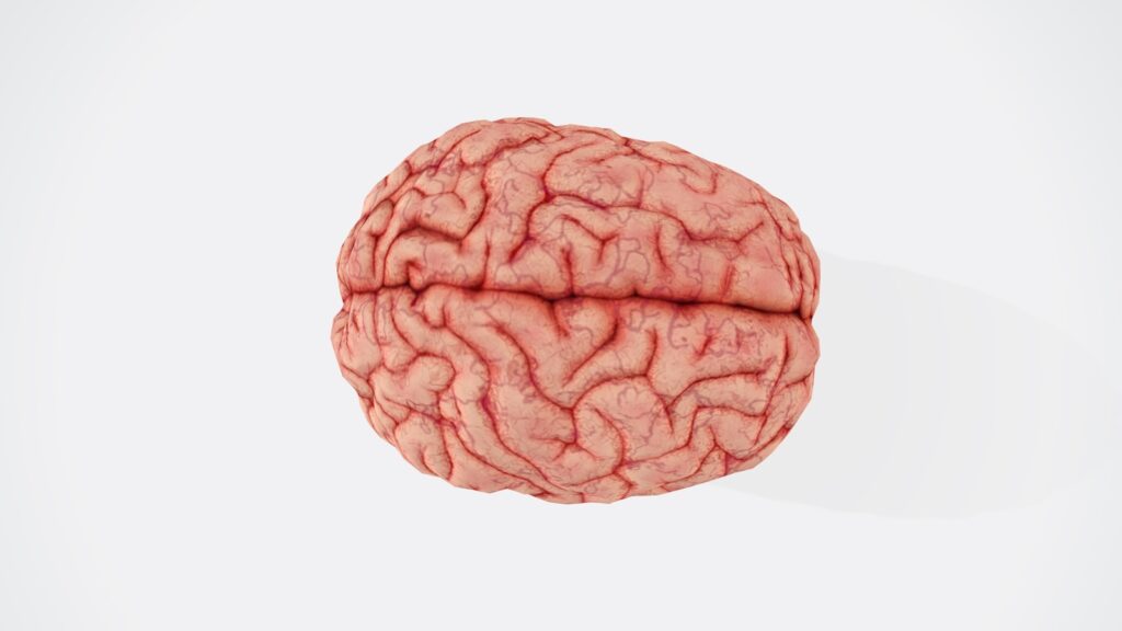 brain health